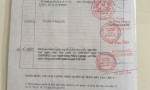 ĐẤT SIÊU ĐẸP - GIÁ ĐẦU TƯ - Cần Bán Lô Đất Xã An Thới Đông, Huyện Cần Giờ, HCM