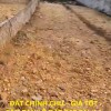 ĐẤT CHÍNH CHỦ – GIÁ TỐT - CẦN BÁN LÔ ĐẤT ĐẸP TẠI thôn Phú Thịnh, Xã Minh Phú, Huyện sóc sơn, Hà Nội