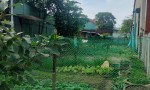 ĐẤT CHÍNH CHỦ - GIÁ TỐT -CHÍNH CHỦ CẦN BÁN Lô Đất tại Phú Hải 2, Đại Hiệp, Huyện Đại Lộc, Quảng Nam