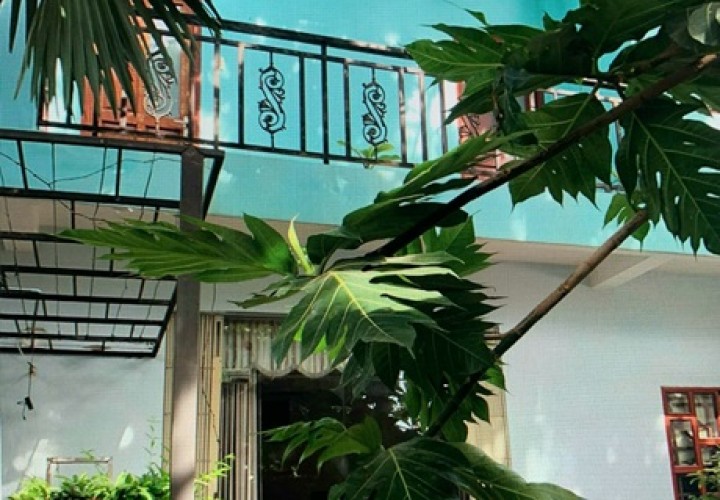 CHÍNH CHỦ CẦN BÁN - Biệt thự gỗ sang trọng – Đẳng cấp – Hiếm có Tại  Vĩnh Lộc B, Bình Chánh
