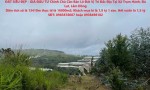 ĐẤT SIÊU ĐẸP - GIÁ ĐẦU TƯ Chính Chủ Cần Bán Lô Đất Vị Trí Đắc Địa Tại Xã Trạm Hành, Đà Lạt, Lâm Đồng