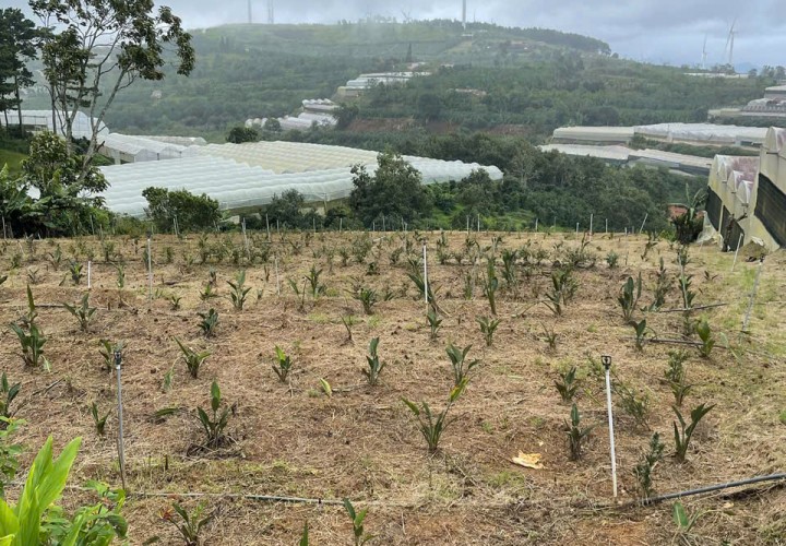 ĐẤT SIÊU ĐẸP - GIÁ ĐẦU TƯ Chính Chủ Cần Bán Lô Đất Vị Trí Đắc Địa Tại Xã Trạm Hành, Đà Lạt, Lâm Đồng