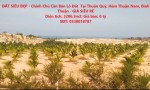ĐẤT SIÊU ĐẸP - Chính Chủ Cần Bán Lô Đất  Tại Thuận Quý, Hàm Thuận Nam, Bình Thuận - GIÁ SIÊU RẺ