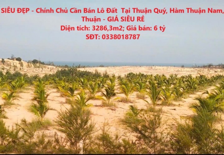 ĐẤT SIÊU ĐẸP - Chính Chủ Cần Bán Lô Đất  Tại Thuận Quý, Hàm Thuận Nam, Bình Thuận - GIÁ SIÊU RẺ