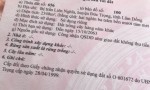 ĐẤT SIÊU ĐẸP - Chính Chủ Cần Bán Lô Đất  Tại Thị Trấn Liên Nghĩa,  Đức Trọng, Lâm Đồng