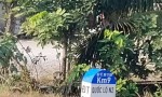 ĐẤT ĐẸP - GIÁ TỐT - Chính Chủ Cần Bán Lô Đất Tại Ấp 3, Xã Tân Thành, Thủ Thừa, Long An