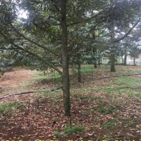 Đất Đẹp - Giá Tốt - Chính Chủ Cần Bán Lô Đất Vị Trí Đẹp Tại , Xã Long Giao, Huyện Cẩm Mỹ, Đồng Nai