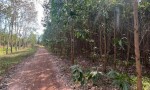 ĐẦU TƯ SINH LỜI - ĐẤT ĐẸP 2 MẶT TIỀN - CHÍNH CHỦ Cần Bán Gấp Tại Xã Xuân Hiệp, Xuân Lộc, Đồng Nai