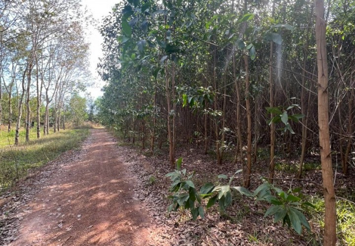 ĐẦU TƯ SINH LỜI - ĐẤT ĐẸP 2 MẶT TIỀN - CHÍNH CHỦ Cần Bán Gấp Tại Xã Xuân Hiệp, Xuân Lộc, Đồng Nai