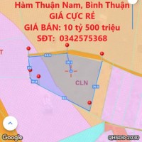 CHÍNH CHỦ CẦN BÁN NHANH 5.347,9m2 ĐẤT Thuận Quý, Hàm Thuận Nam, Bình Thuận GIÁ CỰC RẺ