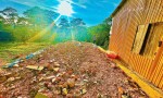 ĐẤT ĐẸP –GIÁ TỐT - CẦN BÁN LÔ ĐẤT VỊ TRÍ ĐẸP TẠI Măng Lin, Phường 7, Tp Đà Lạt. LÂM ĐỒNG