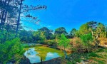 ĐẤT ĐẸP –GIÁ TỐT - CẦN BÁN LÔ ĐẤT VỊ TRÍ ĐẸP TẠI Măng Lin, Phường 7, Tp Đà Lạt. LÂM ĐỒNG