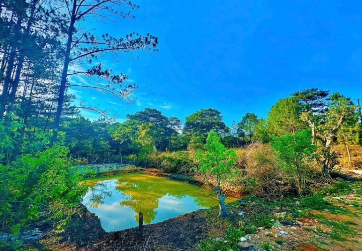 ĐẤT ĐẸP –GIÁ TỐT - CẦN BÁN LÔ ĐẤT VỊ TRÍ ĐẸP TẠI Măng Lin, Phường 7, Tp Đà Lạt. LÂM ĐỒNG
