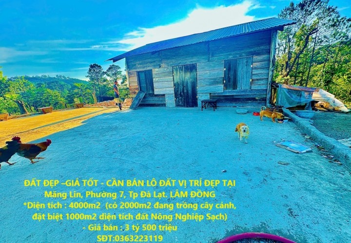 ĐẤT ĐẸP –GIÁ TỐT - CẦN BÁN LÔ ĐẤT VỊ TRÍ ĐẸP TẠI Măng Lin, Phường 7, Tp Đà Lạt. LÂM ĐỒNG