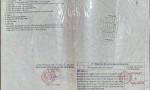 CHÍNH CHỦ CẦN BÁN NHANH 3 Nền Vị Trí Đẹp Tại Cụm Dân Cư Bình Châu B, Xã Vĩnh Bình, Huyện Vĩnh Hưng, Long An