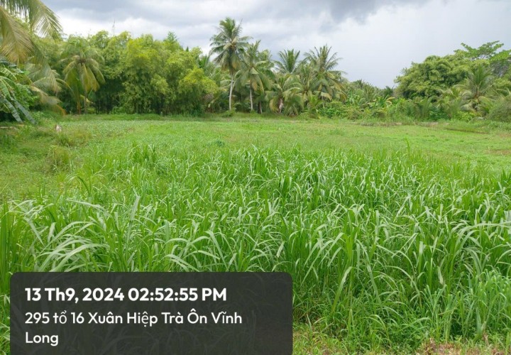 ĐẤT ĐẸP - GIÁ TỐT - CHÍNH CHỦ Cần Bán Nhanh 2 Lô Đất Tại Xã Xuân Hiệp, Trà Ôn, Vĩnh Long