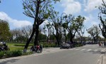 ĐẤT CHÍNH CHỦ - GIÁ TỐT CẦN BÁN NHANH lô đất tặng kèm nhà tại quận Phú Xuân, TP Huế