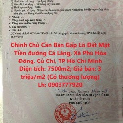 Chính Chủ Cần Bán Gấp Lô Đất Mặt Tiền đường Cá Lăng, Xã Phú Hòa Đông, Củ Chi, TP Hồ Chí Minh