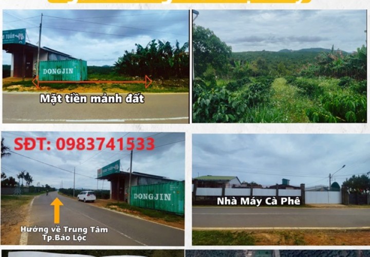 CẦN BÁN LÔ ĐẤT MẶT ĐƯỜNG đường Đoàn Thị Điểm,TP Bảo Lộc Lâm Đồng
