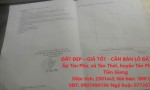 ĐẤT ĐẸP – GIÁ TỐT - CẦN BÁN LÔ ĐẤT ĐẸP tại huyện Tân Phú Đông, tỉnhTiền Giang