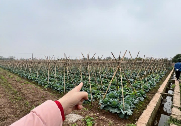 Đất Nông Nghiệp- Giá Siêu Rẻ- Cần Bán Nhanh Lô Đất Vị Trí Đắc Địa Tại Song Phương, Hoài Đức, Hà Nội