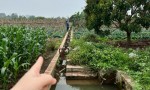 Đất Nông Nghiệp- Giá Siêu Rẻ- Cần Bán Nhanh Lô Đất Vị Trí Đắc Địa Tại Song Phương, Hoài Đức, Hà Nội