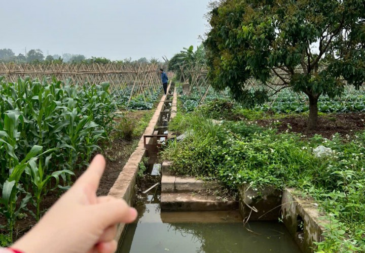 Đất Nông Nghiệp- Giá Siêu Rẻ- Cần Bán Nhanh Lô Đất Vị Trí Đắc Địa Tại Song Phương, Hoài Đức, Hà Nội