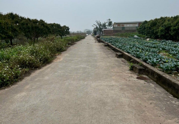 Đất Nông Nghiệp- Giá Siêu Rẻ- Cần Bán Nhanh Lô Đất Vị Trí Đắc Địa Tại Song Phương, Hoài Đức, Hà Nội