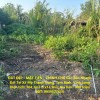 ĐẤT ĐẸP - MẶT TIỀN - CHÍNH CHỦ Cần Bán Nhanh Đất Tại Xã Mỹ Thạnh Trung, Tam Bình, Vĩnh Long