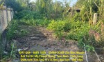 ĐẤT ĐẸP - MẶT TIỀN - CHÍNH CHỦ Cần Bán Nhanh Đất Tại Xã Mỹ Thạnh Trung, Tam Bình, Vĩnh Long