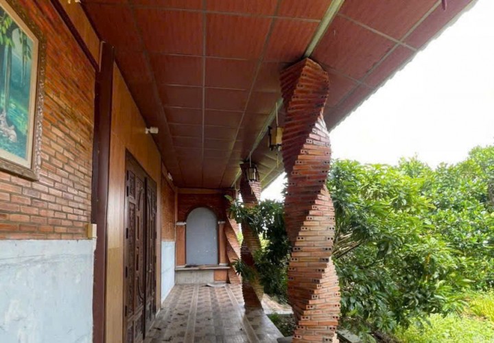 CHÍNH CHỦ BÁN ĐẤT KHU NGHỈ DƯỠNG ĐƯỜNG LIÊN XÃ Tại Mỹ Thành Bắc - Cai Lậy