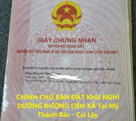 CHÍNH CHỦ BÁN ĐẤT KHU NGHỈ DƯỠNG ĐƯỜNG LIÊN XÃ Tại Mỹ Thành Bắc - Cai Lậy