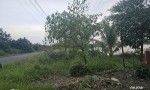 VỊ TRÍ ĐẸP - ĐẦU TƯ SINH LỜI - Chính Chủ Cần Bán Lô Đất Mặt Tiền Đường Xuyên Á, Xã Thới Bình, Cà Mau