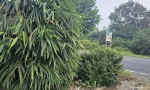 VỊ TRÍ ĐẸP - ĐẦU TƯ SINH LỜI - Chính Chủ Cần Bán Lô Đất Mặt Tiền Đường Xuyên Á, Xã Thới Bình, Cà Mau