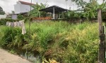 Chính Chủ Cần Bán Gấp Đất Tại Hẻm 89 Nguyễn Thông, P. An Thới, Ninh Kiều, Cần Thơ