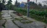 Chính Chủ Cần Bán Gấp Đất Tại Hẻm 89 Nguyễn Thông, P. An Thới, Ninh Kiều, Cần Thơ