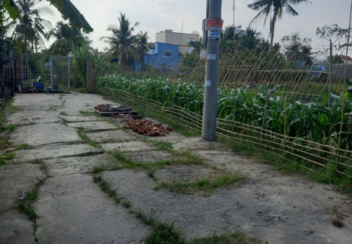 Chính Chủ Cần Bán Gấp Đất Tại Hẻm 89 Nguyễn Thông, P. An Thới, Ninh Kiều, Cần Thơ