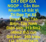 ĐẤT ĐẸP GIÁ NGỘP -  Cần Bán Nhanh Lô Đất Vị Trí Đẹp Tại Xã Thạnh Tây, Tân Biên, Tây Ninh