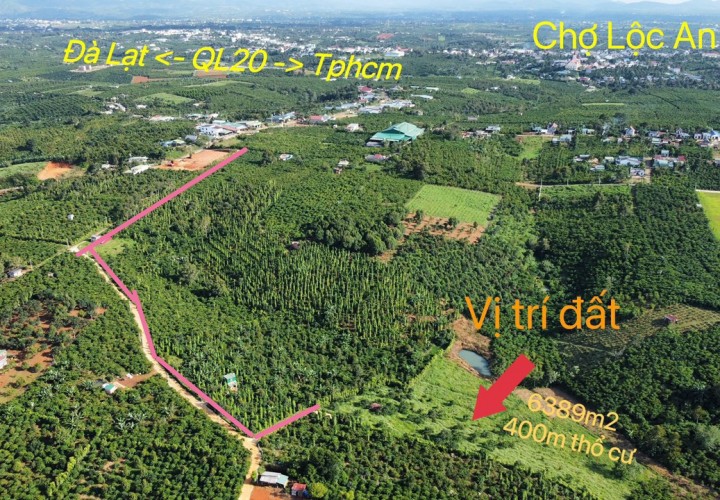 Đất Đẹp - Giá Tốt Bán Nhanh vườn cây ăn trái 6389m2 Xã Lộc An , Huyện Bảo Lâm