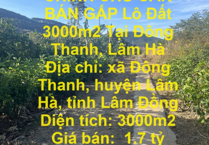 CHÍNH CHỦ CẦN BÁN GẤP Lô Đất 3000m2 Tại Đông Thanh, Lâm Hà