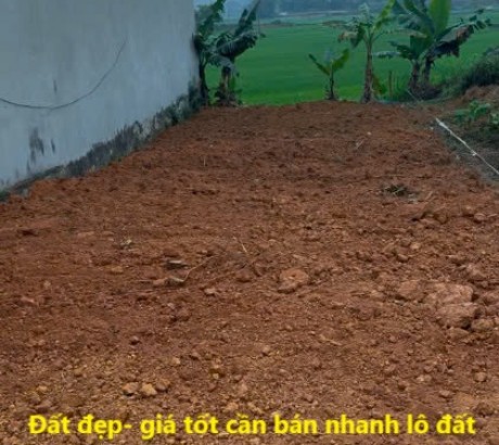 Đất đẹp- giá tốt cần bán nhanh lô đất vị trí đẹp - giá đầu tư tại TP Việt Trì, tỉnh Phú Thọ