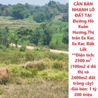 HOT HOT !! CHÍNH CHỦ CẦN BÁN NHANH LÔ ĐẤT TẠI Đường Hồ Xuân Hương,Thị trấn Ea Kar, Ea Kar, Đắk Lắk