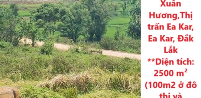 HOT HOT !! CHÍNH CHỦ CẦN BÁN NHANH LÔ ĐẤT TẠI Đường Hồ Xuân Hương,Thị trấn Ea Kar, Ea Kar, Đắk Lắk