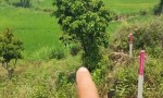 HOT HOT !! CHÍNH CHỦ CẦN BÁN NHANH LÔ ĐẤT TẠI Đường Hồ Xuân Hương,Thị trấn Ea Kar, Ea Kar, Đắk Lắk