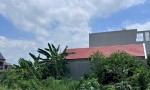 ĐẤT ĐẸP - GIÁ TỐT - BÁN NHANH LÔ ĐẤT Tại Đường Bưng Ông Thoàn, Phường Phú Hữu, Quận 9, HCM