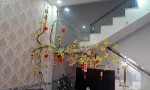 NHÀ ĐẸP - GIÁ TỐT - Cần Bán Nhanh Căn Nhà Vị Trí Đẹp tại Long Thượng, Cần Giuộc, LA