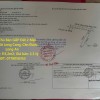 Chính Chủ Bán GẤP Đất 2 Mặt Tiền Tại Xã Long Cang, Cần Đước, Long An