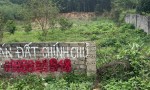 ĐẤT ĐẸP – GIÁ TỐT - CẦN BÁN NHANH LÔ ĐẤT Tại Xóm hợp thành, Xã Nam Thành, Huyện Yên Thành, Nghệ An