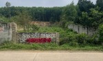 ĐẤT ĐẸP – GIÁ TỐT - CẦN BÁN NHANH LÔ ĐẤT Tại Xóm hợp thành, Xã Nam Thành, Huyện Yên Thành, Nghệ An