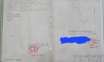 Đất Đẹp - Giá Tốt - Chính Chủ Cần Bán Lô Đất Vị Trí Đẹp Tại  Xã Tân Thành Thủ Thừa, Long An